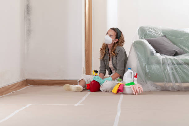 Reliable Commercial Mold Remediation contractor in Ocoee, FL by WQB Mold Removal